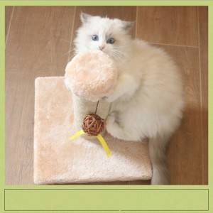 Small cat toy funny cat sepak takraw Cat scratching post, small scratch-resistant, bite-resistant and wear-resistant small cat scratching post