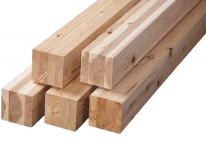 Edifici de processament de la fusta Wood Square Glulam-0010