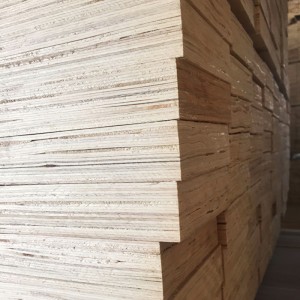 Produción de madeira contrachapada de álamo LVL de grao de construción 0463