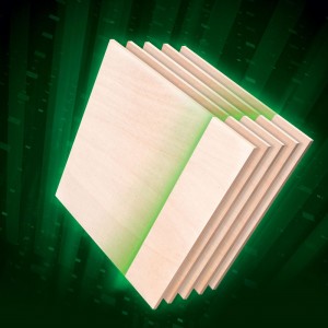 Imported Birch Multi-Layer Plywood 0533