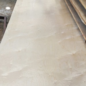 Double-Sided Birch Packing Plywood 0534