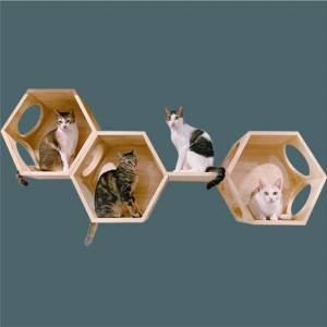 Plataforma de salto de pared para gatos de cuatro estaciones, red para colgar en la pared de madera maciza, marco de escalada para gatos rojos, arena para gatos