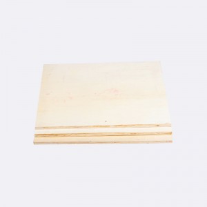 Nako-customize na Multi-Layer Packaging Pallet Plywood 0495