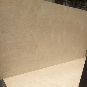 Duk Kayan Gidan Yara na Birch Multi-Layer Plywood 0528