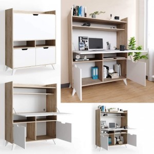 Modern Minimalist Cabinet Style Desk 0664