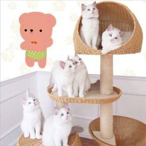 Pisică de zgâriat platformă integrată pentru sărituri pentru pisici Placă de zgâriat pentru pisici din ratan Arbore de pisici multifuncțional Litier pentru pisici Cadru de catarare pentru pisici din sisal