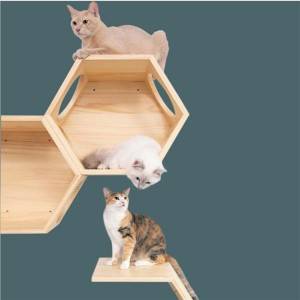 Four seasons cat wall jumping platform solid wood wall hanging net red cat climbing frame cat litter