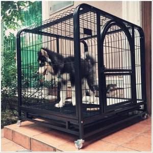 Ntja Cage Bold Golden Retriever Dog Cage E Khōlō ea Ntja Medium Dog Cage Pet Cage