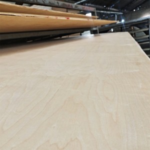 Double-Sided Birch Packing Plywood 0534
