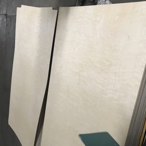 Phenolic Glue Lahat ng Birch Plywood 0535