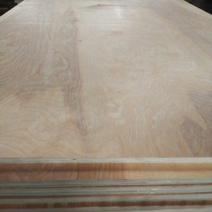 18mm Multi-Layer Double-Sided Birch Plywood 0540