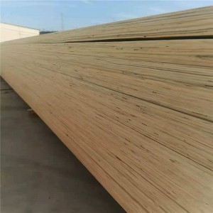 Poplar LVL Plywood para sa Fumigation-Free Construction 0515