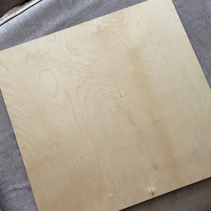 Furniture Building Materials All Birch Plywood 0532