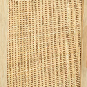 Armário de TV simples e prático de vime de madeira com porta dupla 0377