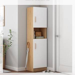ຕູ້ເກີບໃນເຮືອນຄວາມອາດສາມາດຂະຫນາດໃຫຍ່ Nordic multi-function ຕູ້ເກັບຮັກສາປະຕູທີ່ທັນສະໄຫມ minimalist ກັບຄືນໄປບ່ອນ locker ຕູ້ສູງ