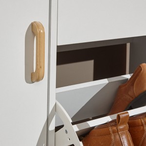 Nordic Minimalist Shoe Storage Cabinet 0440
