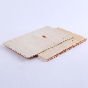 Customizable Multi-Layer Packaging Pallet Plywood 0495