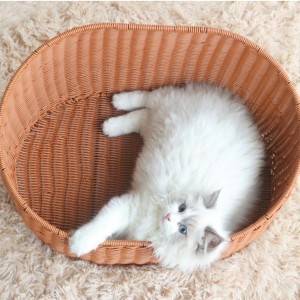 Розплідник для собак із ротангової тканини, вимитий із ротанга, літній ліжок для котів, простий у догляді, чистий розплідник для рудих котів