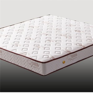 20cm thick palm mattress 1.8m 1.5m compression mattress 0419