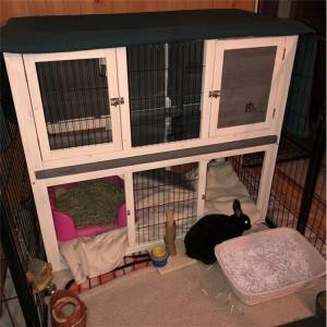 Englewood Duplex Rabbit Hutch na May Pinto 0226