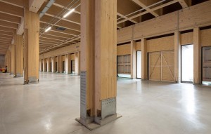 Estructura de fusta escènica a l'aire lliure-0019
