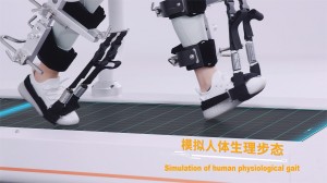I-Gait Training and Evaluation Robot A3-2