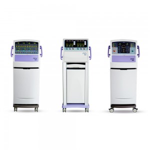 elektrotherapie beste tientallen eenheid TENS Spierzenuwstimulator Machine elektrotherapie-apparaat