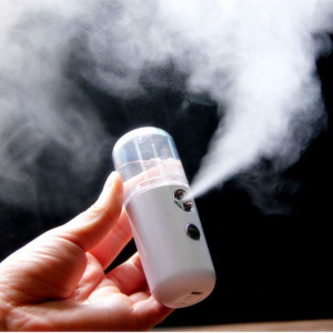 Alat Perawatan Kulit Mini Portabel Anyar Pribadi Kecantikan Steamer Electric Facial Mist Sprayer