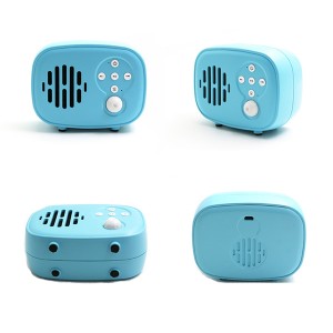 Tragbarer Bluetooth-Lautsprecher mit Mikrofon und UKW-Radio. Angepasstes Bluetooth