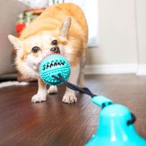 Dog Rope Toy with Treat Ball Tug Chew Toys with Powerful Suction Cup Dog Teeth Cleaning