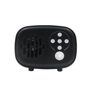 Tragbarer Bluetooth-Lautsprecher mit Mikrofon und UKW-Radio. Angepasstes Bluetooth