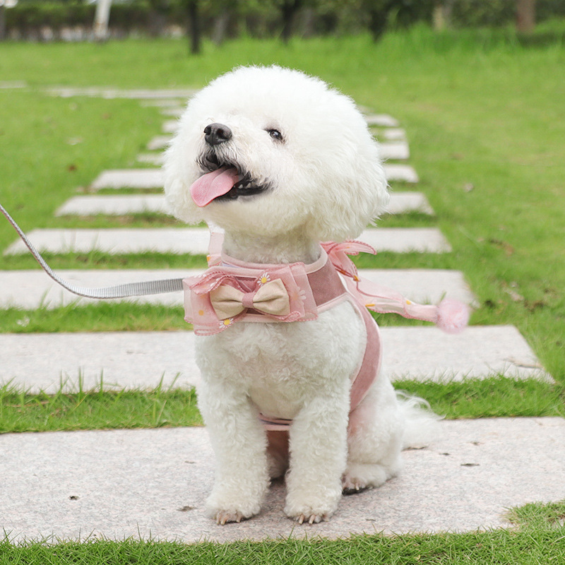 Wholesale Discount Sales Service Provider - Bowknot Pet Chest Harness Breathable Anti-strike Dog Leash Set Wholesale – Sellers Union