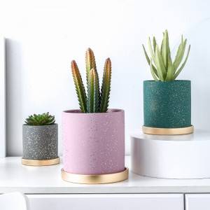 Pot Bunga Keramik Lurus Dengan Baki Cekungan Bulat Bangkai Hijau
