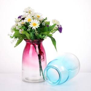 Vases en verre de fleurs de plantes vintage de couleur dégradée