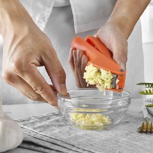 Stainless Steel Manual Garlic Press Plastic Multifunctional Kitchen Tools Wholesale