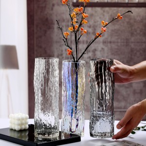 Glass Vase Transparent Vase Zokongoletsera Zanyumba Zokongoletsera