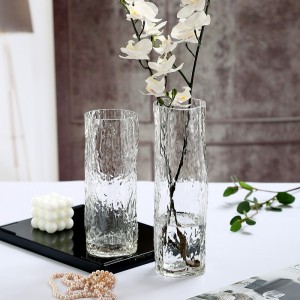 Glasvase Gennemsigtig vase Dekorationspynt til hjemmet