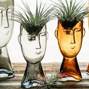 Monata Face Art Transparent Glas Vase Dekoratioun