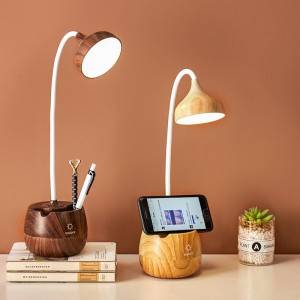 Multifunctional Chargeable Eye Lamp آرائشي پلنگ جي چراغ جو زيور