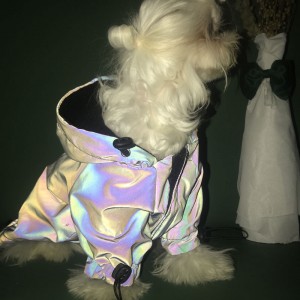 Oblečenie pre domáce zvieratá zahusťujúce bavlnenú bundu Reflexné oblečenie pre psov