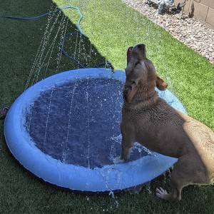 Water Splash Sprinkler Pad for Dogs Pet PVC Pet Toys Wholesale