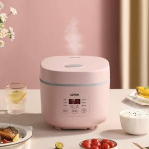 Mini 2L Multi-function na Rice Cooker Maliit na Rice Cooker