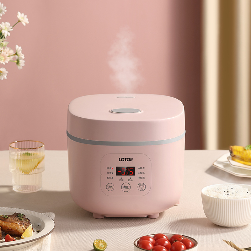 Mini 2L Multi-function Rice Cooker Small Rice Cooker