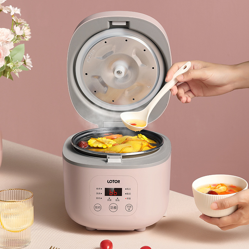  Small Rice Cooker, 2L Mini Portable Rice Cooker with