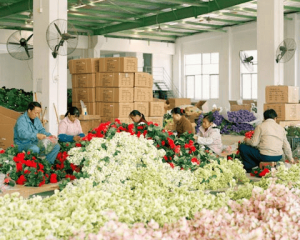 How to Find China Artificial Flower Market and Factory