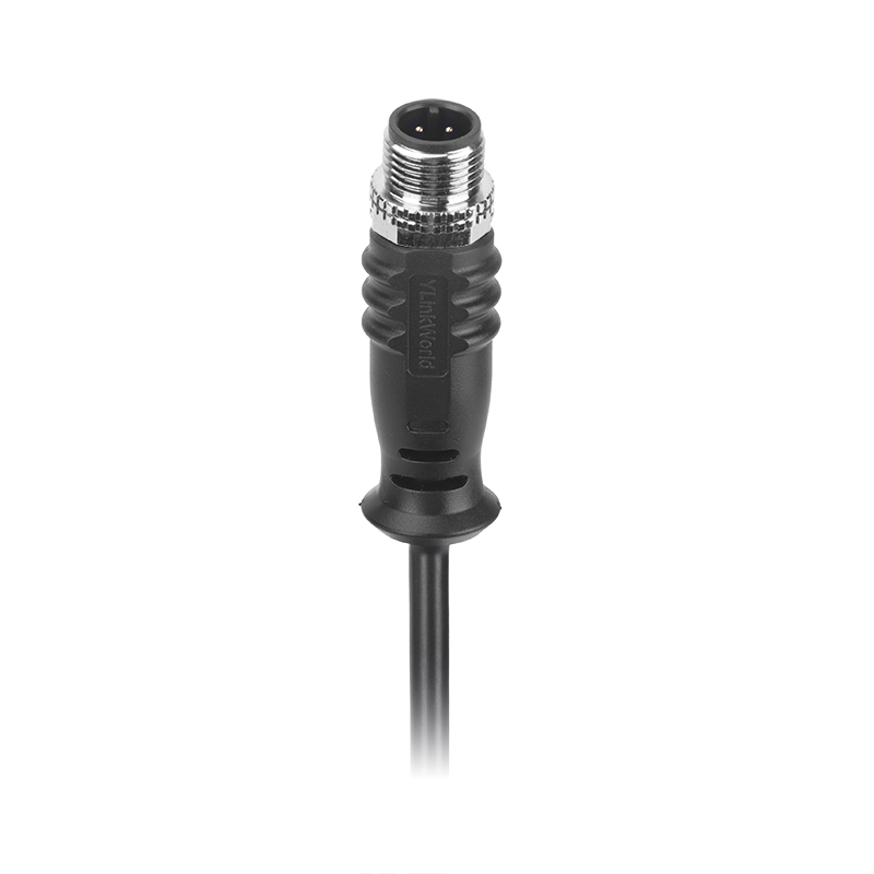 M12 male molded connector 