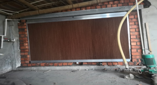 How to use chicken house cooling pad wall