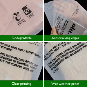 Eco Friendly Frosted Self-Sealing Bag