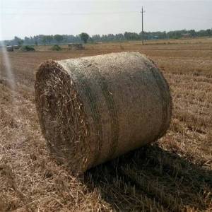 HDPE Bale Net Wrap in Rolls for Agriculture
