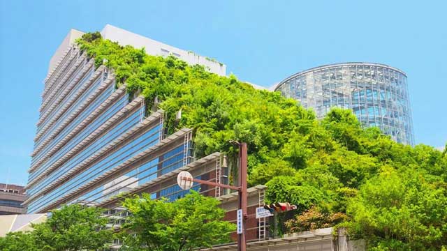 10 architektūrinių žaliojo pastato koncepcijos taikymo pranašumų